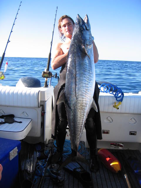 my mates 36kg speared mack!